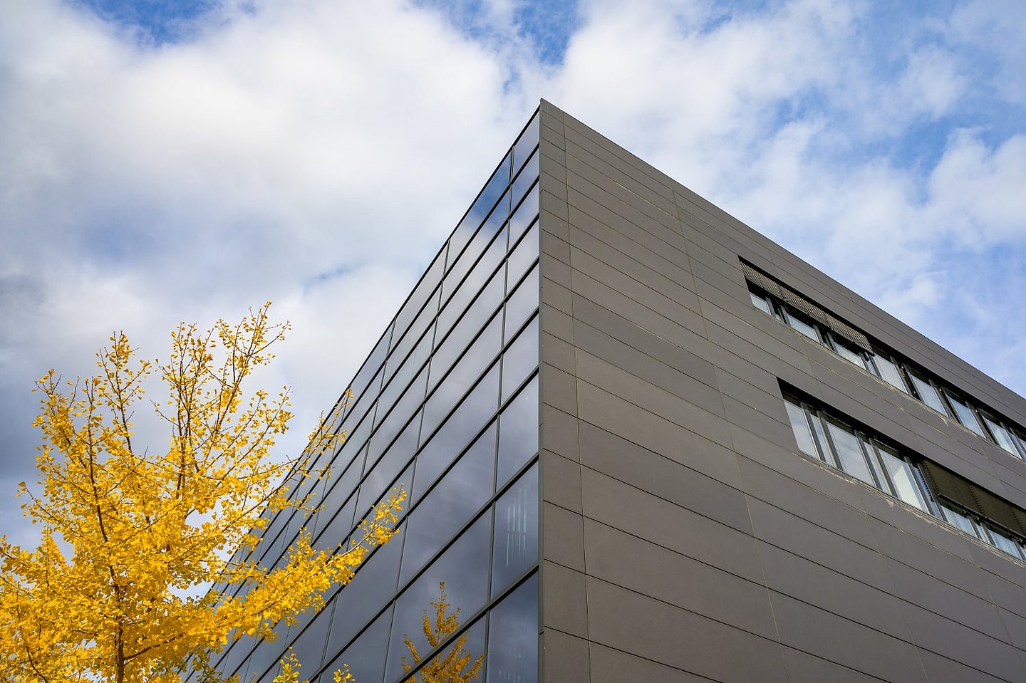 Ecke Glasfassade des CIB Weimar mit Gingko weit