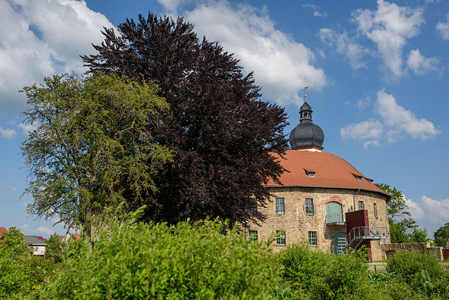 Im Vordergrund sind mehrere mächtige Bäume zu sehen, die das Schloss Blankenhain im Hintergrund überragen.