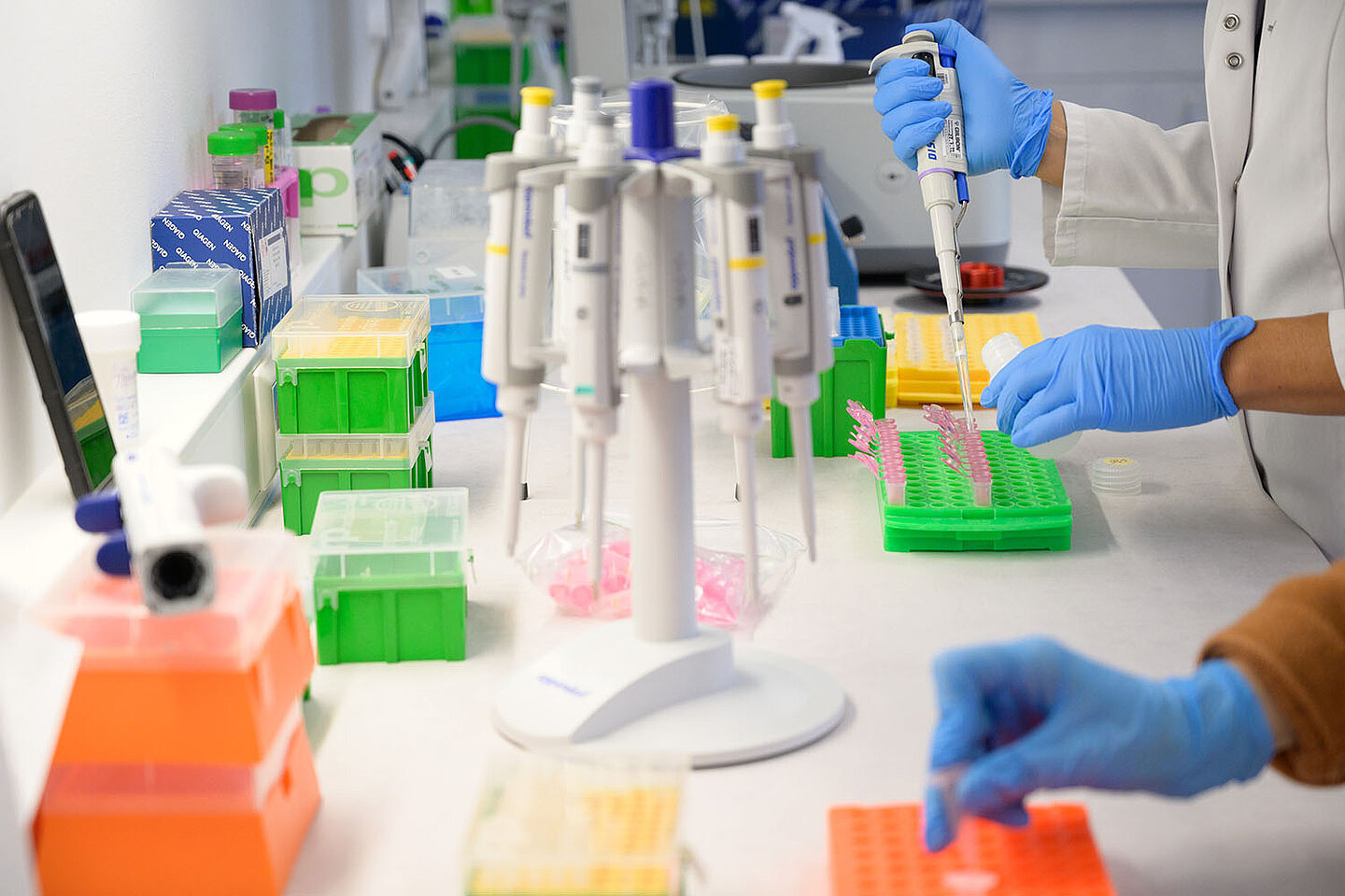 Laboranten pipettieren ihre Proben. 