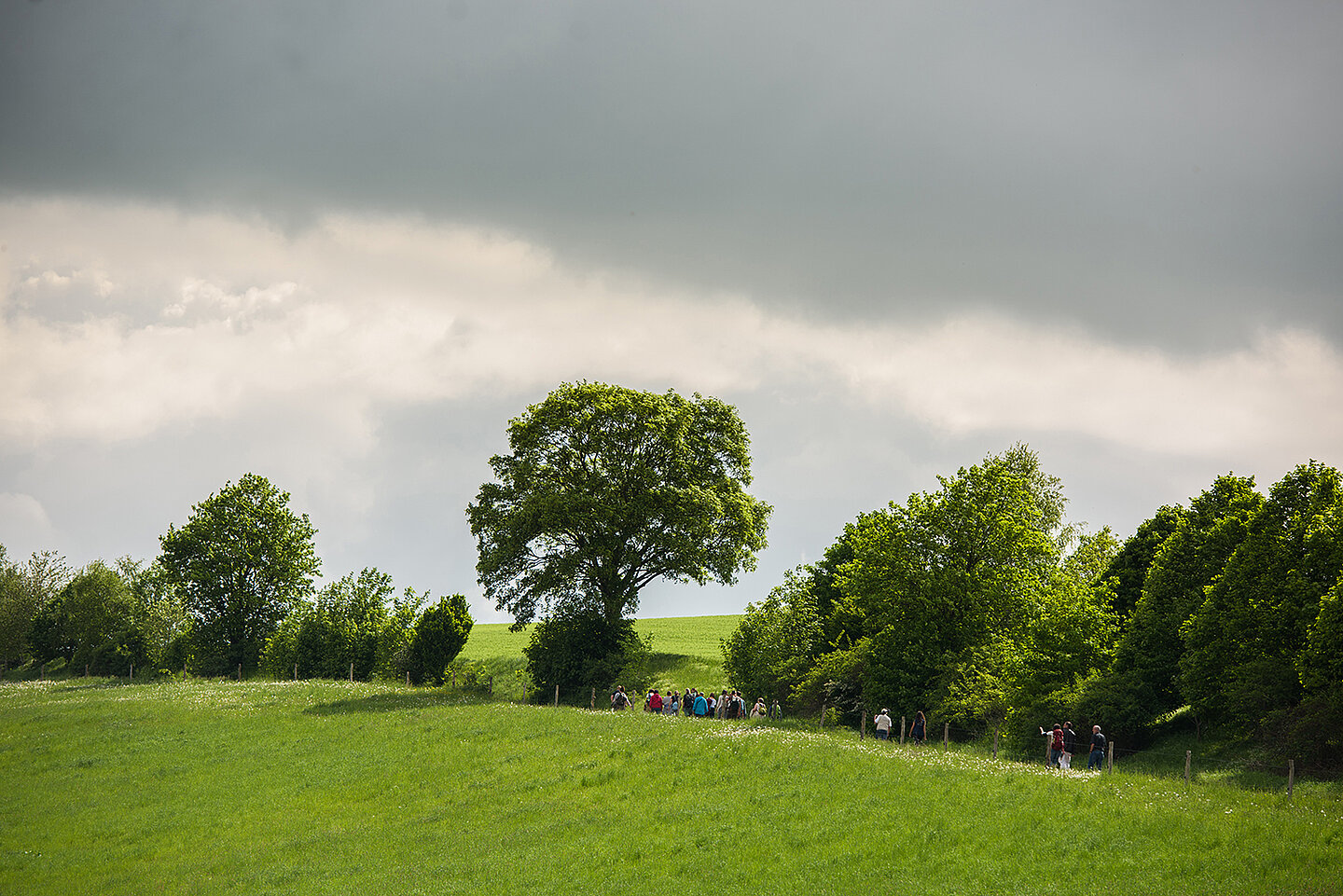 Naturpanorama