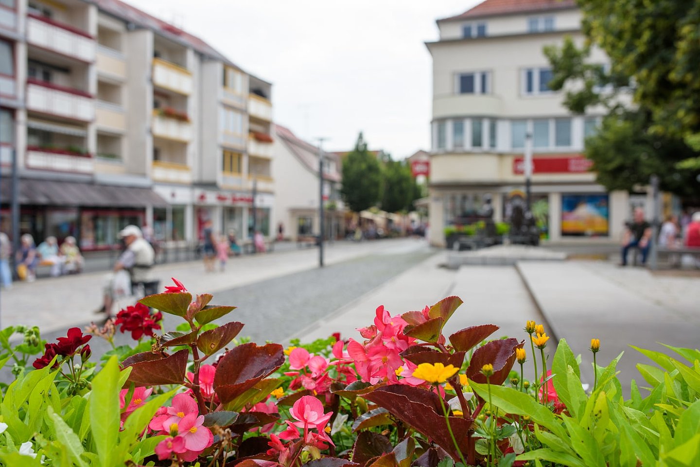 Blumen vor Marktplatz Sömmerda