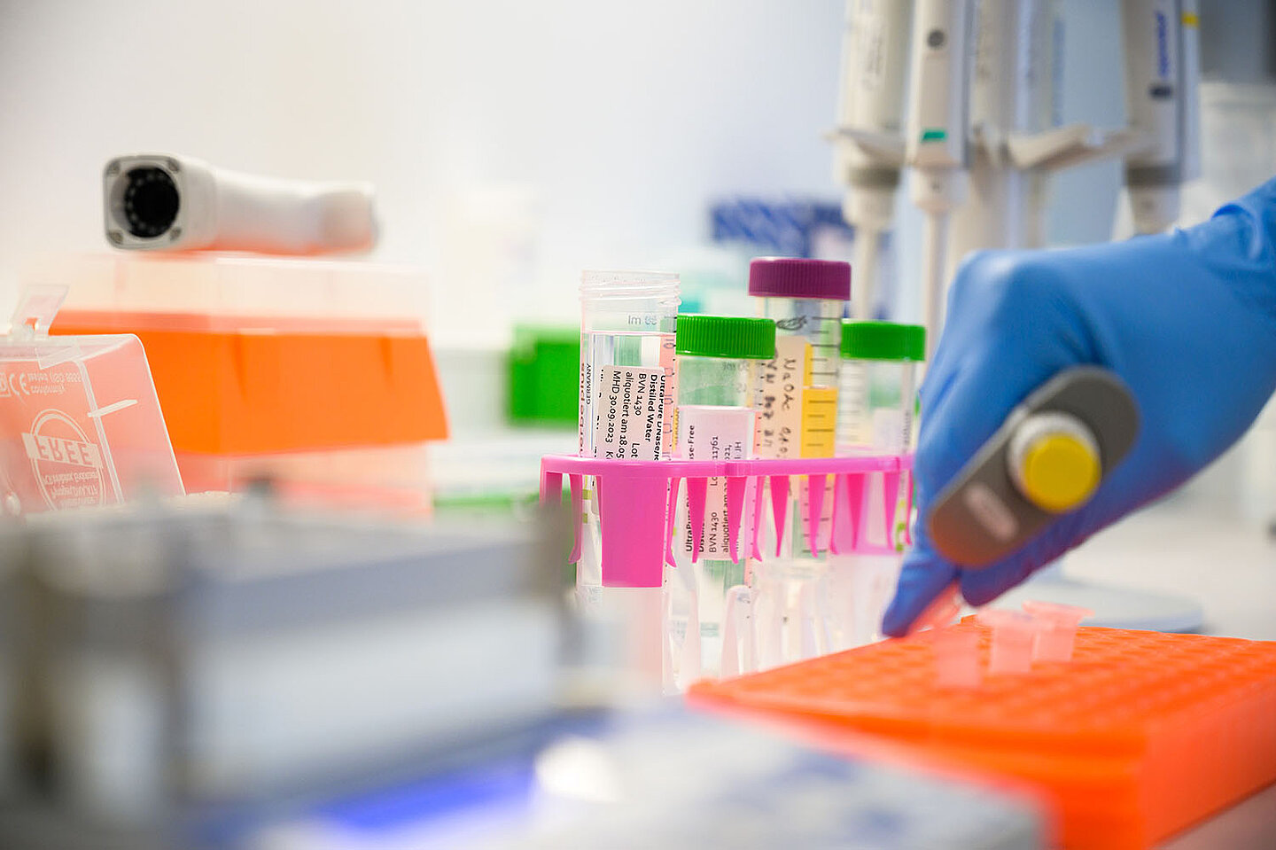 Pipettierung von Proben.