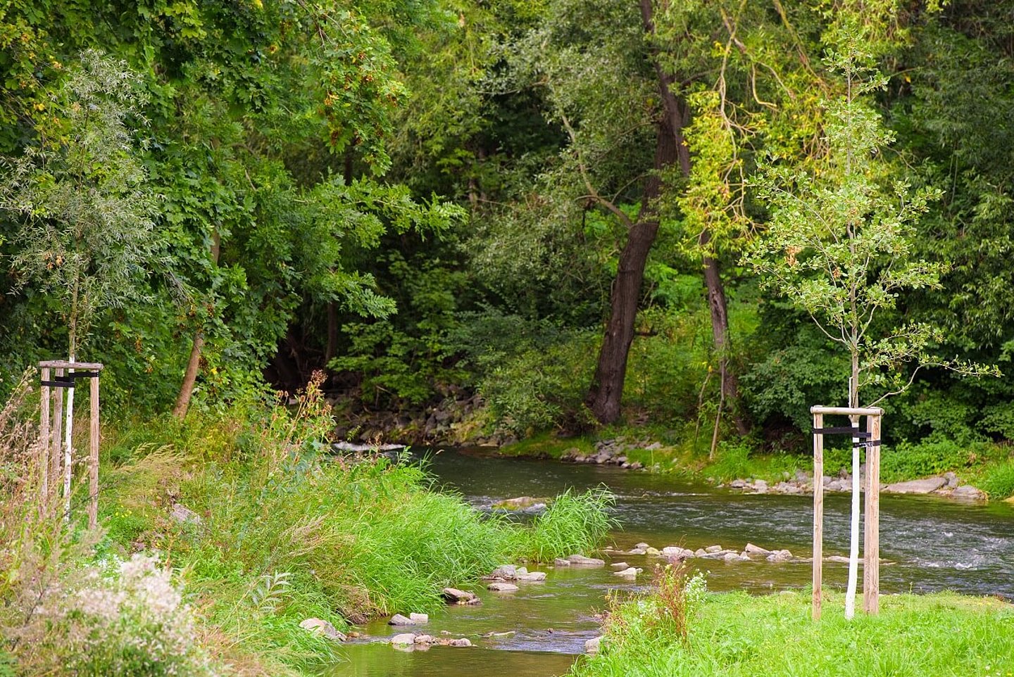 Mühlgraben Gispersleben mit Flussmündung