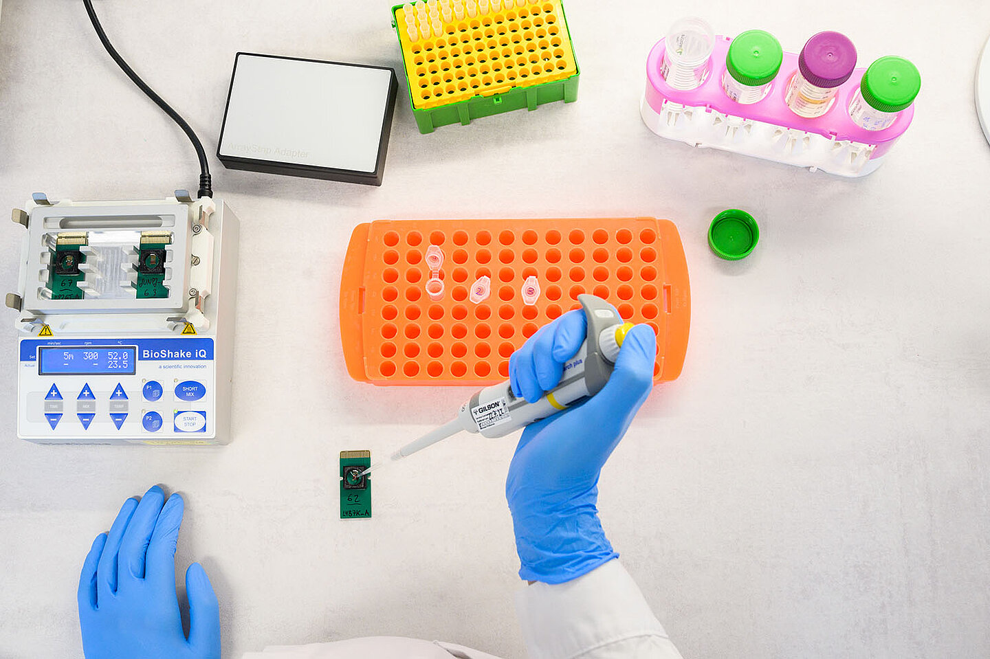 Pipettierung von Proben.