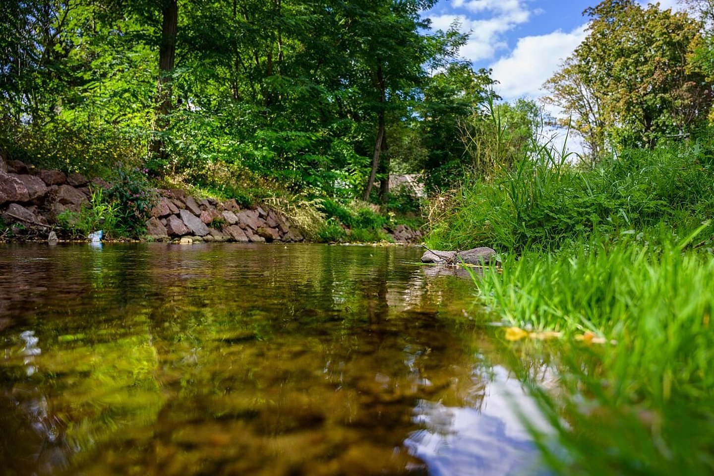 Mühlgraben Gispersleben mit Flusslauf