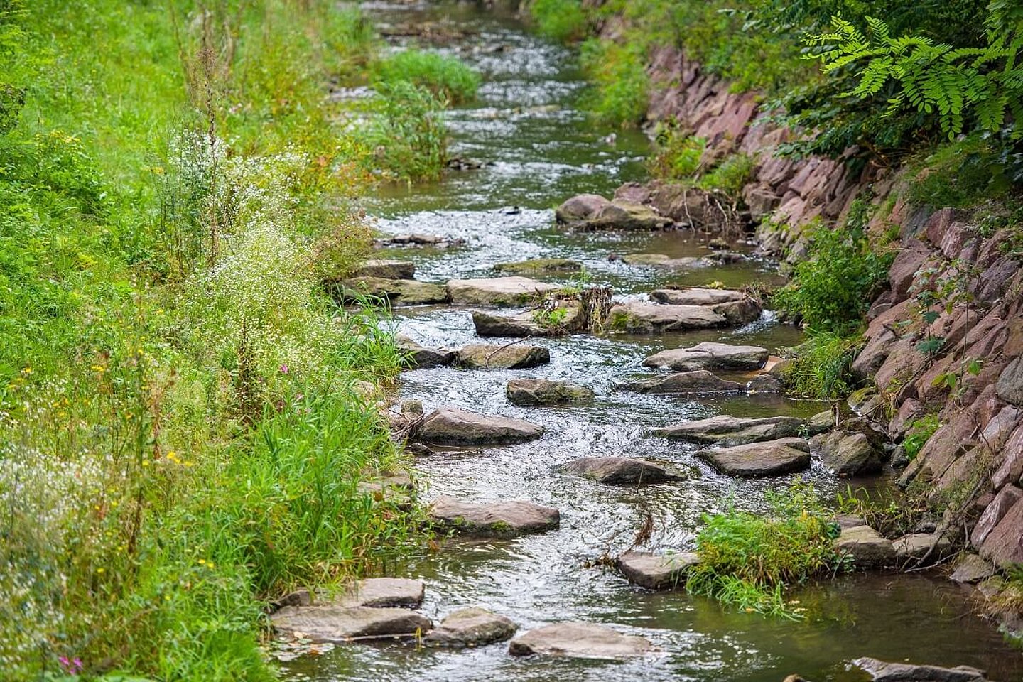 Mühlgraben Gispersleben