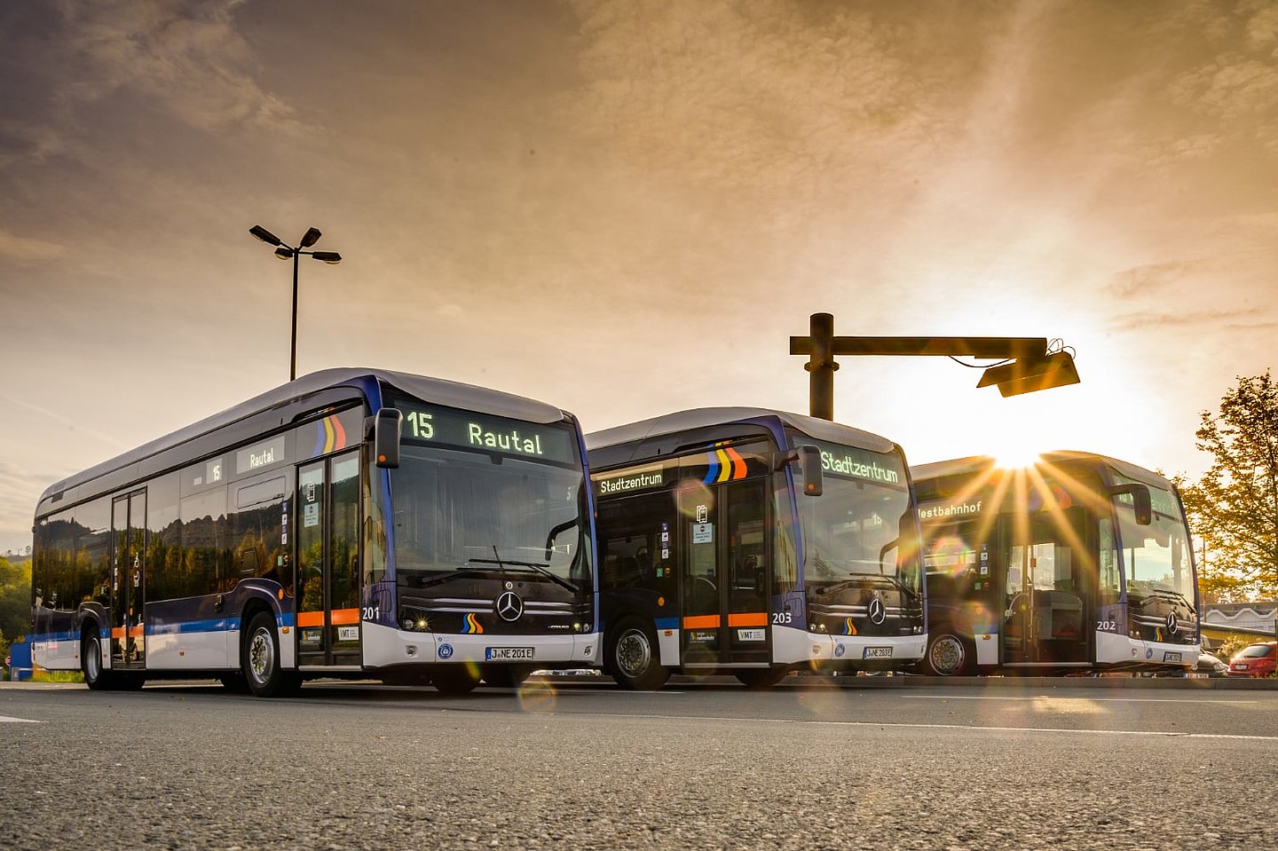 Busse im Sonnenuntergang