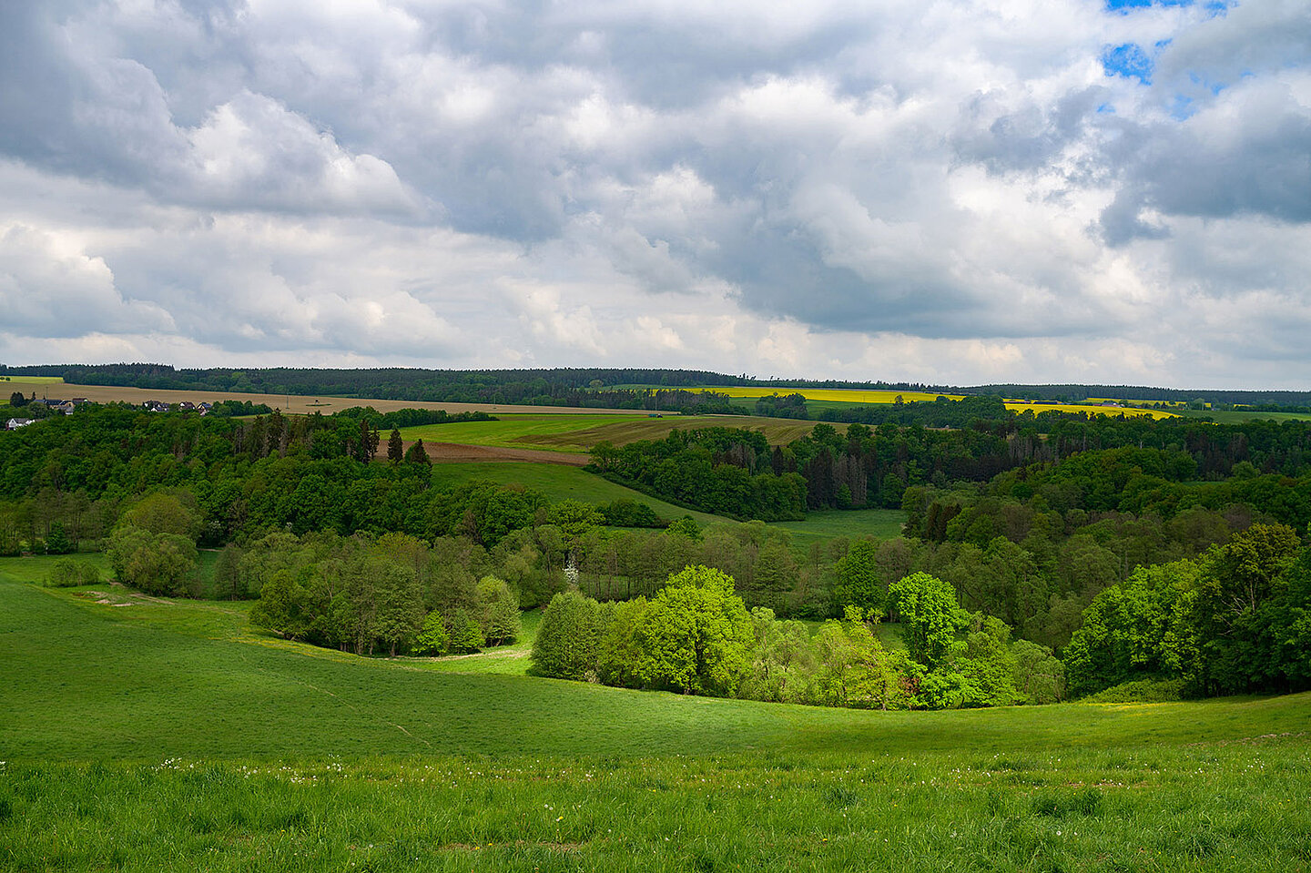 Landschaftspanorama mit Wiesen und Bäumen.