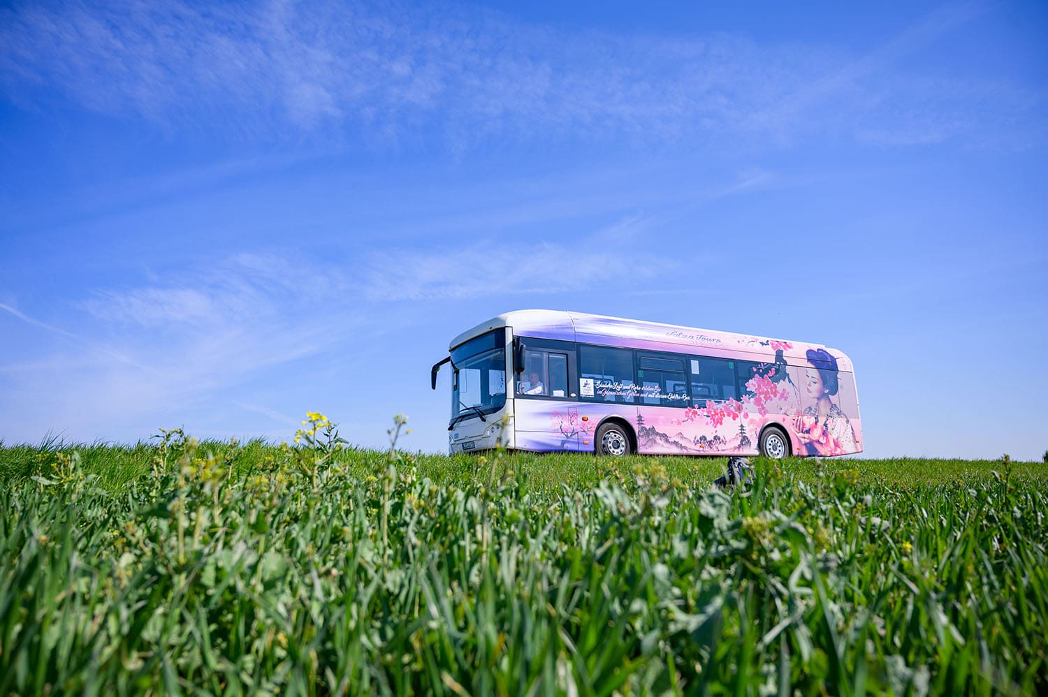 ein mit Blumen bedruckter Tourbus steht vor einer grünen Wiese und dem blauen Himmel